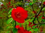 20070309 11.jpg